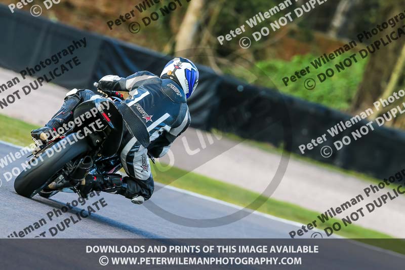 Oulton Park 20th March 2020;PJ Motorsport Photography 2020;anglesey;brands hatch;cadwell park;croft;donington park;enduro digital images;event digital images;eventdigitalimages;mallory;no limits;oulton park;peter wileman photography;racing digital images;silverstone;snetterton;trackday digital images;trackday photos;vmcc banbury run;welsh 2 day enduro